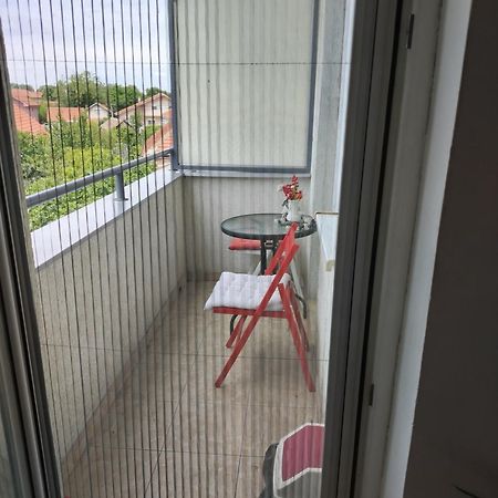 Apartman Mira Požarevac Zewnętrze zdjęcie