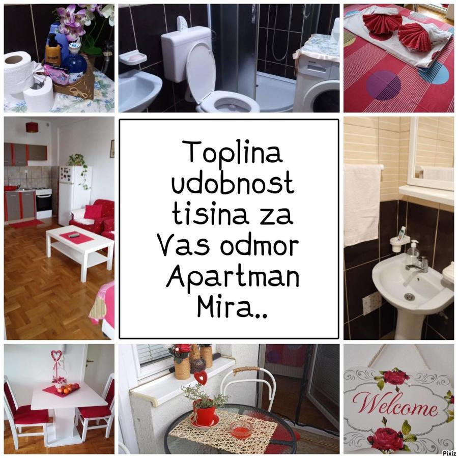 Apartman Mira Požarevac Zewnętrze zdjęcie
