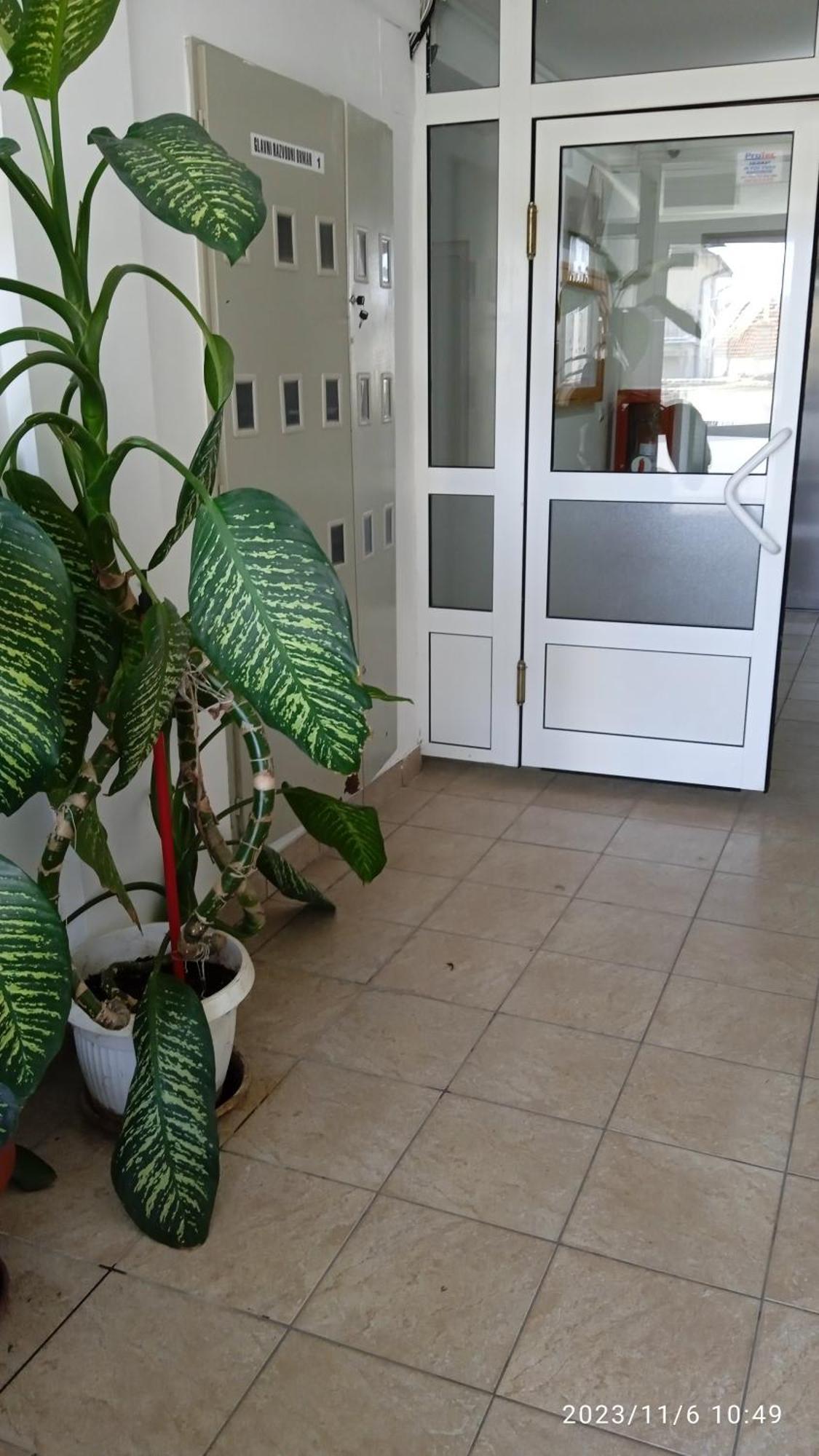 Apartman Mira Požarevac Zewnętrze zdjęcie