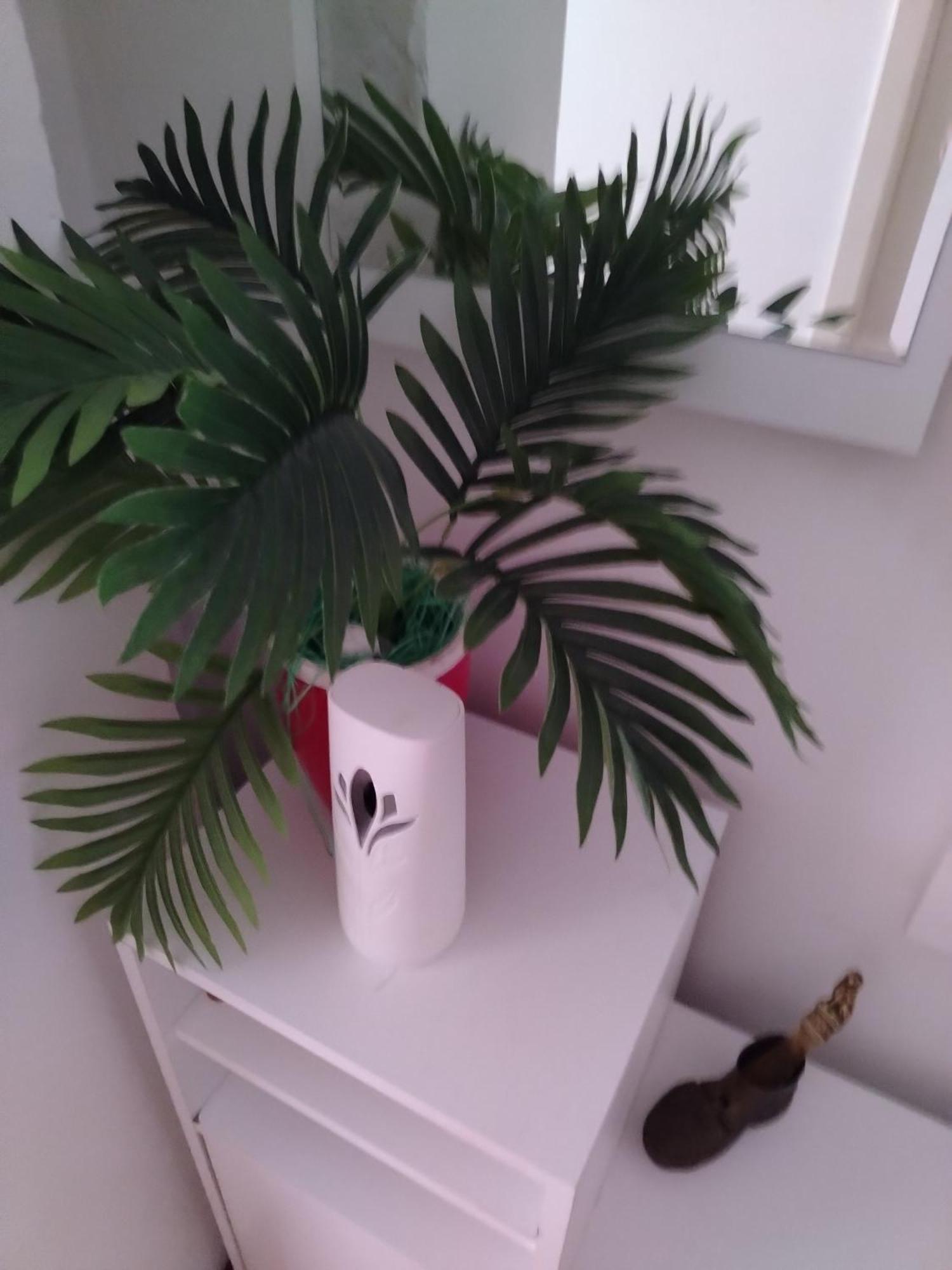 Apartman Mira Požarevac Zewnętrze zdjęcie